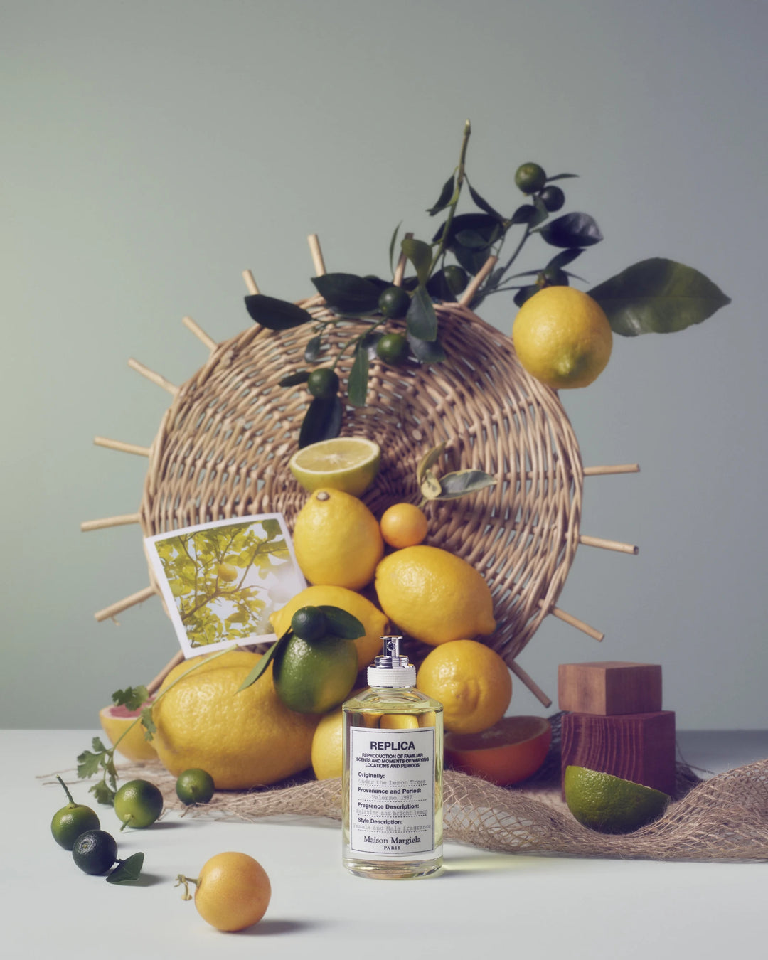 Maison Margiela The Lemon Tree Eau De Toilette 100ml