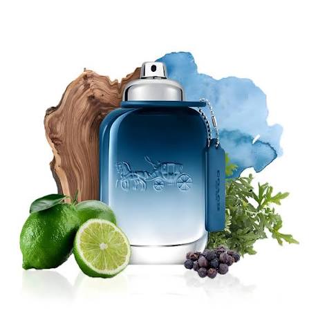 Coach Blue Eau De Toilette 100ml