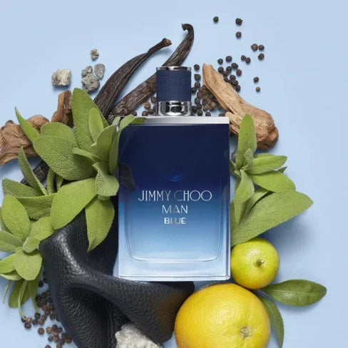 Jimmy Choo Blue Eau De Toilette 100ml